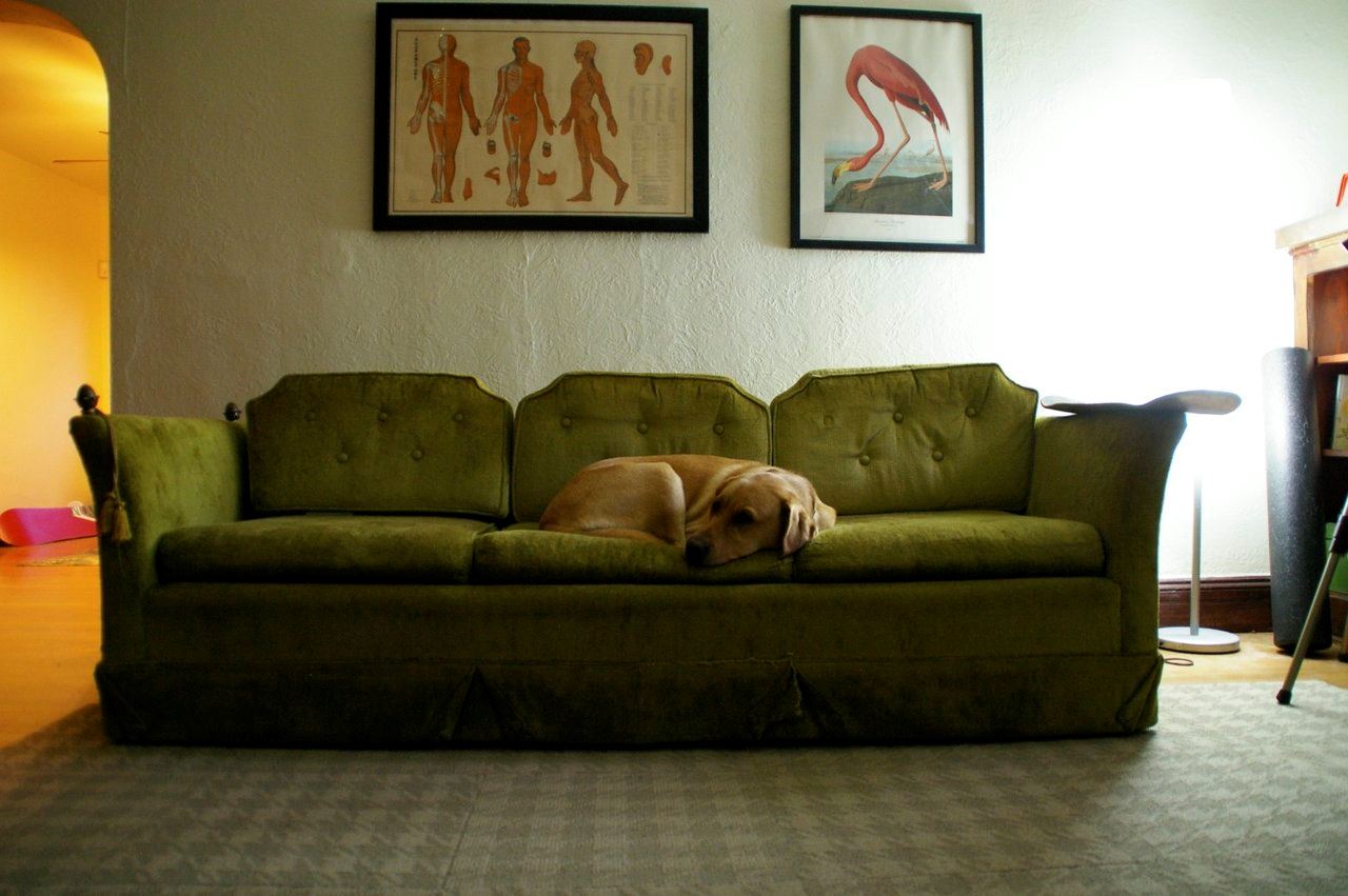 Зеленый диван (43)